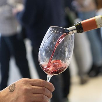 /images/7/5/75-anteprima-vino-nobile-di-montepulciano-i-giorno--1-.jpg